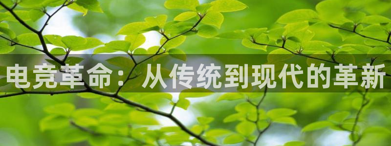 ky电竞馆：电竞革命：从传统到现代的革新