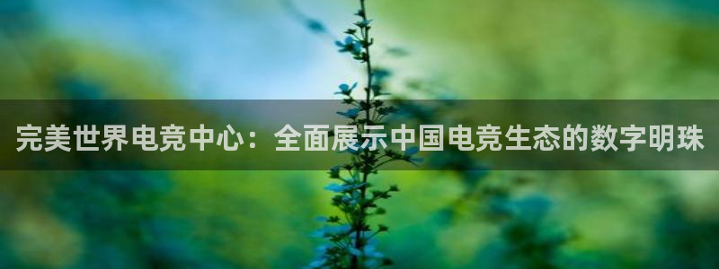 ky开元电竞：完美世界电竞中心：全面展示中国电竞生态的数字明珠