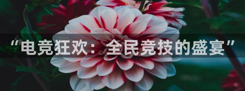ky电竞：“电竞狂欢：全民竞技的盛宴”
