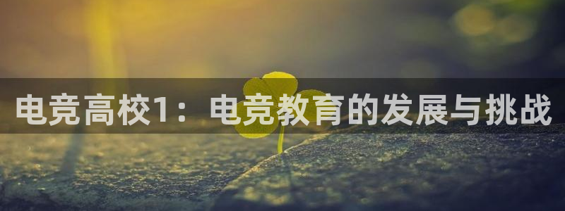 ky电竞：电竞高校1：电竞教育的发展与挑战