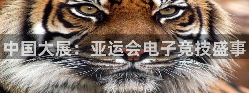 ky开元电竞：中国大展：亚运会电子竞技盛事