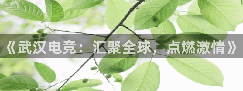 ky电竞馆：《武汉电竞：汇聚全球，点燃激情》