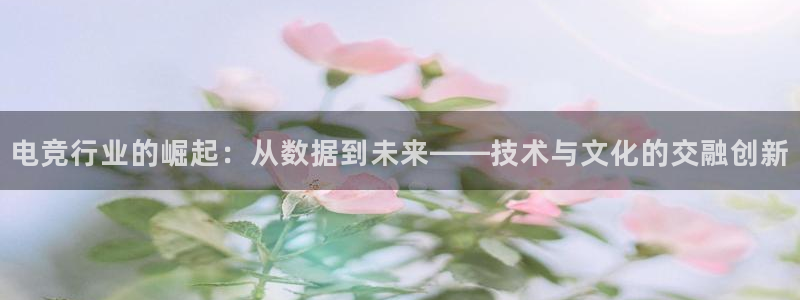ky电竞馆：电竞行业的崛起：从数据到未来——技术与文化的交融创新