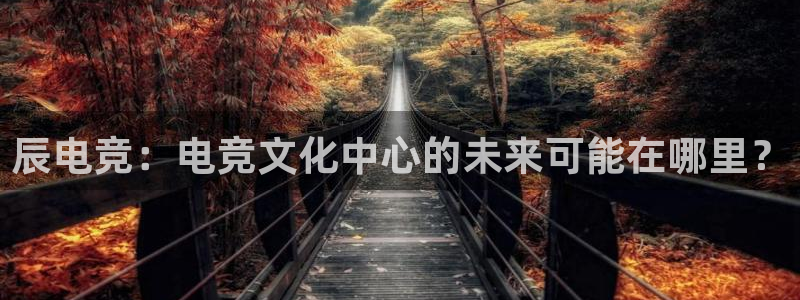 ky开元电竞：辰电竞：电竞文化中心的未来可能在哪里？