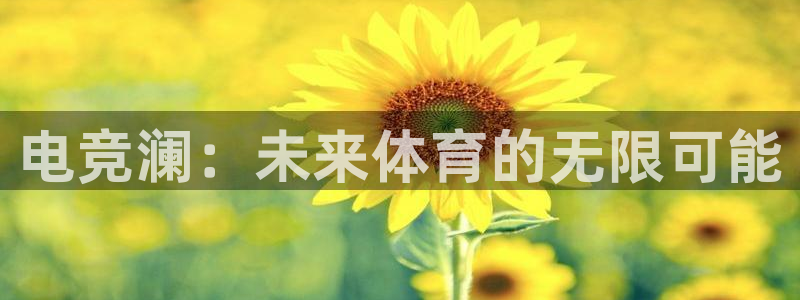 ky电竞馆：电竞澜：未来体育的无限可能