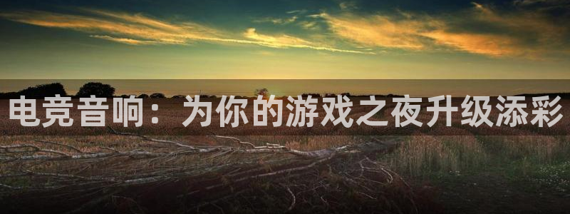 ky开元电竞：电竞音响：为你的游戏之夜升级添彩
