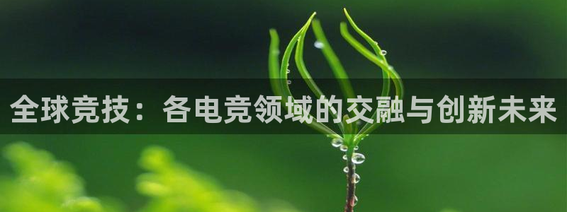 ky电竞馆：全球竞技：各电竞领域的交融与创新未来