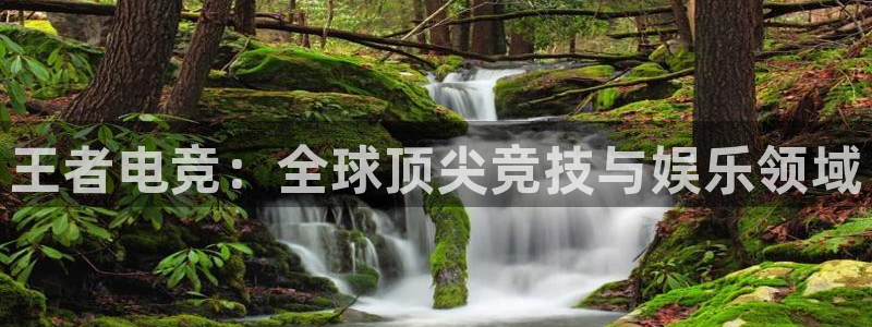 ky电竞：王者电竞：全球顶尖竞技与娱乐领域